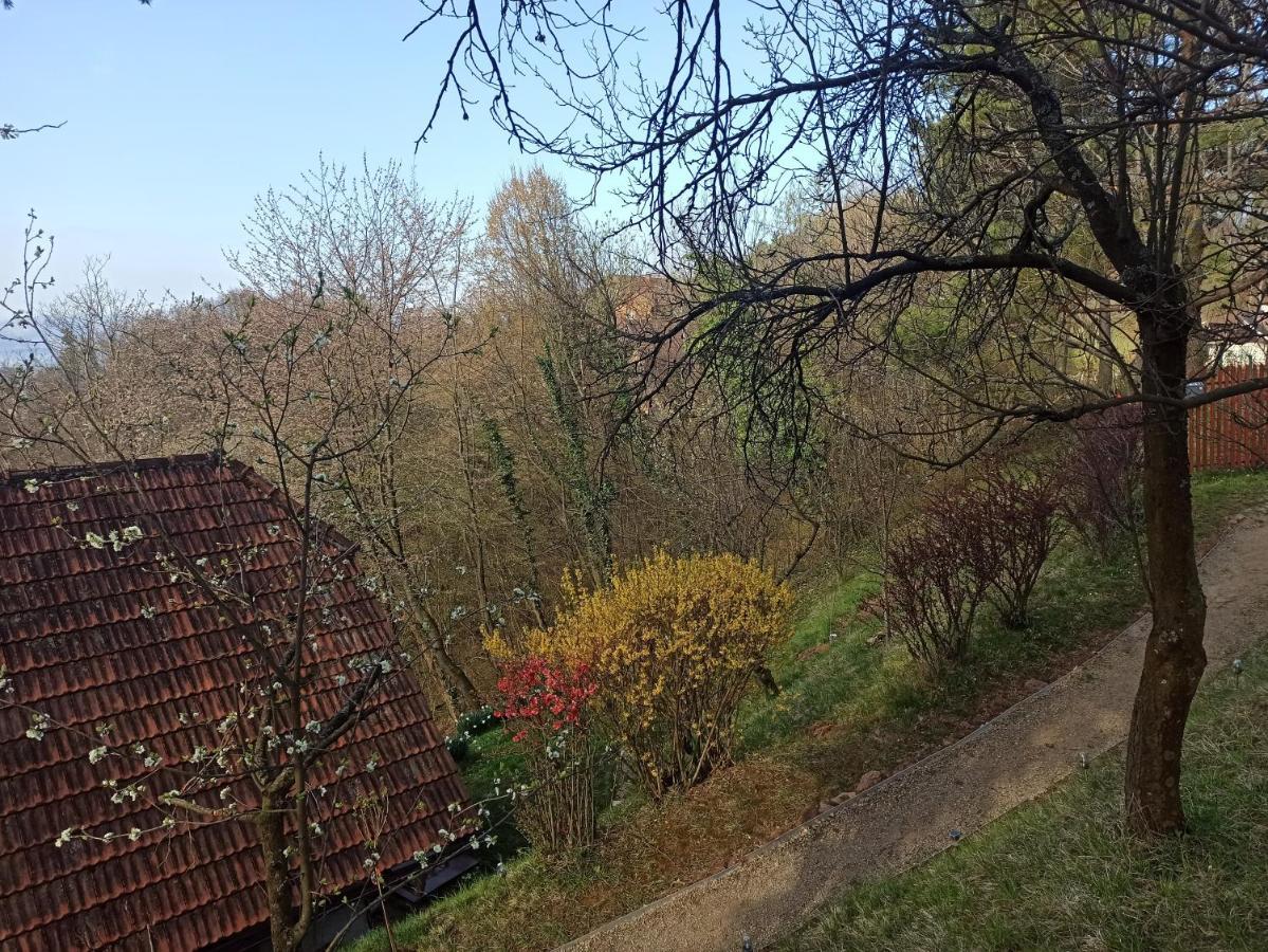 Chalet Serenity Dramlje